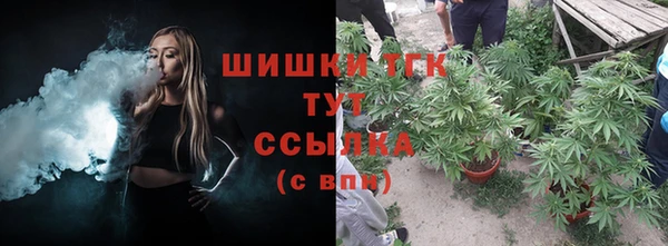 прущая мука Бородино