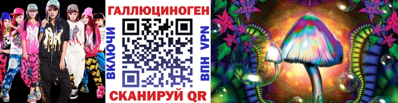 Купить закладки  Химки  Псилоцибиновые грибы Magic Shrooms 